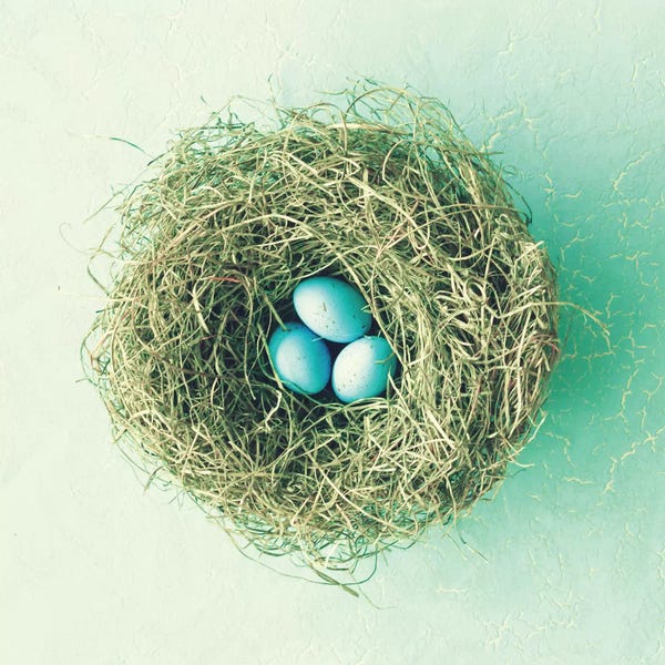 Chickens & Roosters: Three Little Eggs by Caroline Mint