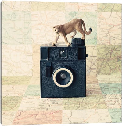 Traveling The World Canvas Art Print - Vintage Styled Photography