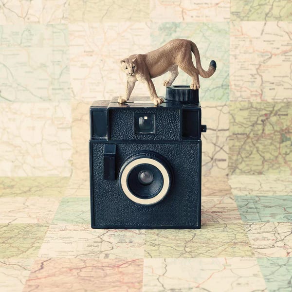 Caroline Mint: Traveling The World by Caroline Mint