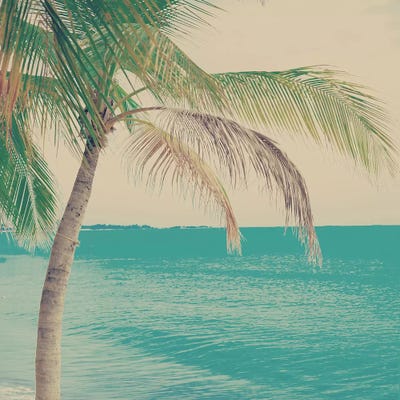 Tropical Palm by Caroline Mint framed canvas print