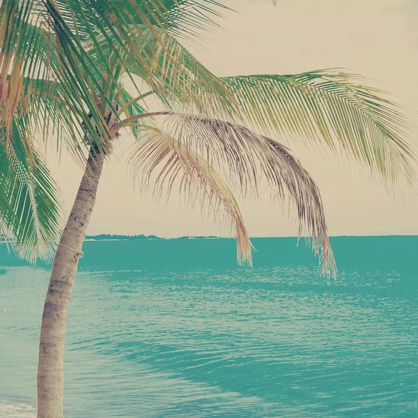 Caroline Mint: Tropical Palm by Caroline Mint