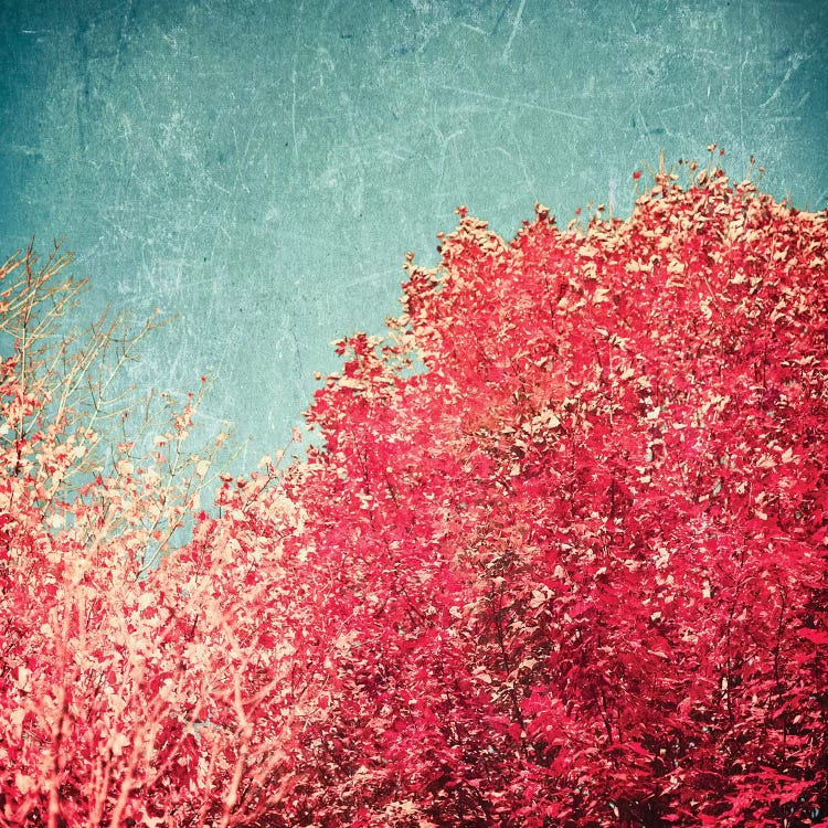 Vermont Autumn by Caroline Mint wall art