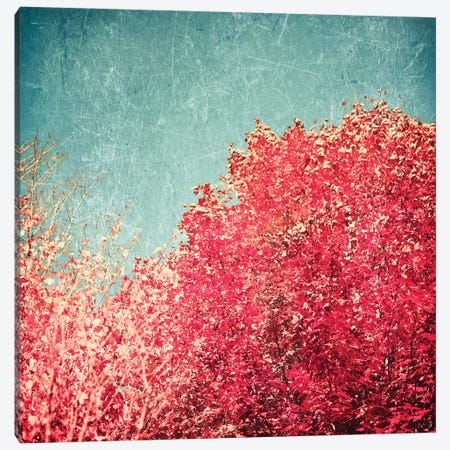Vermont Autumn Canvas Print #CMN196} by Caroline Mint Canvas Artwork