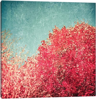 Vermont Autumn Canvas Art Print - Caroline Mint