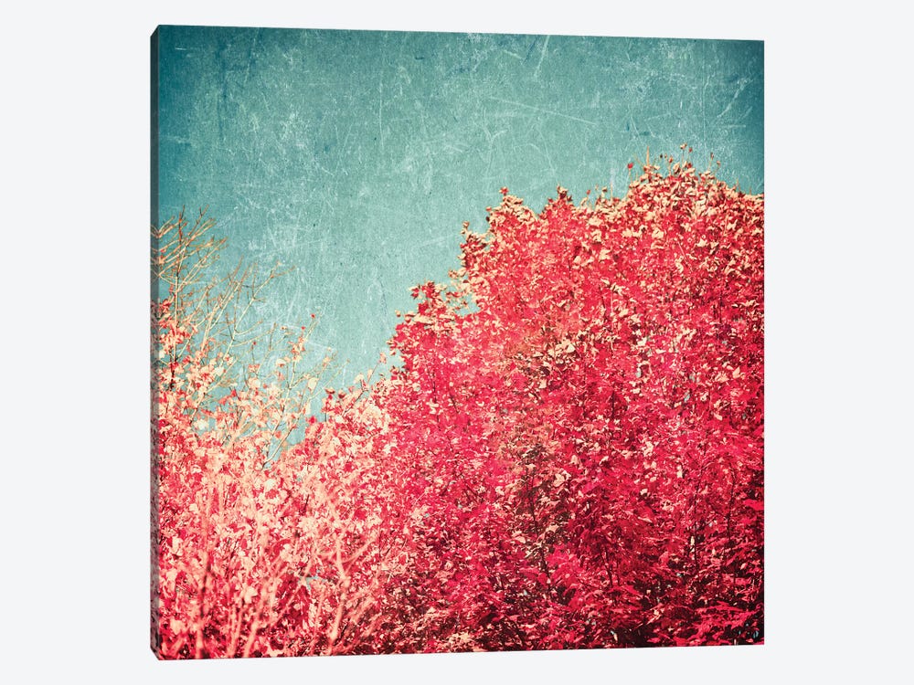 Vermont Autumn by Caroline Mint 1-piece Art Print