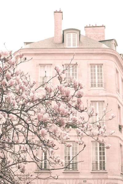 Windows: Paris In Blush Pink, Marais I by Caroline Mint