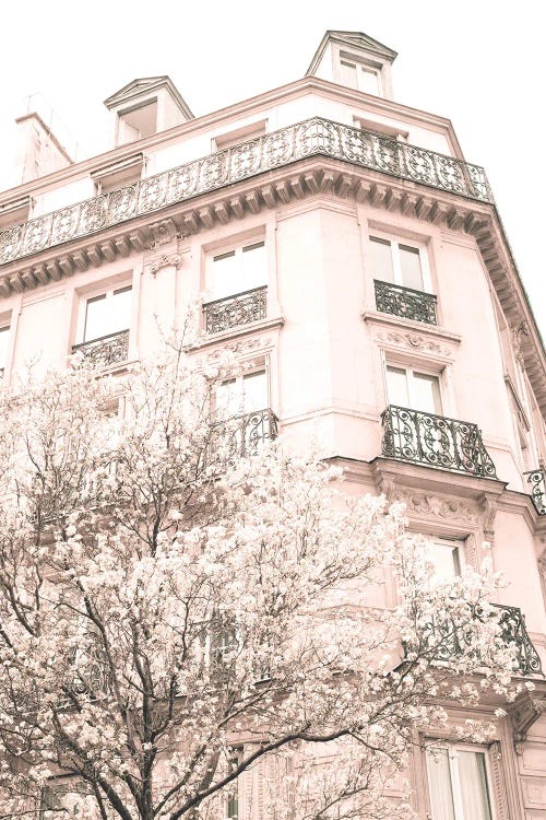 Paris In Blush Pink, Marais II