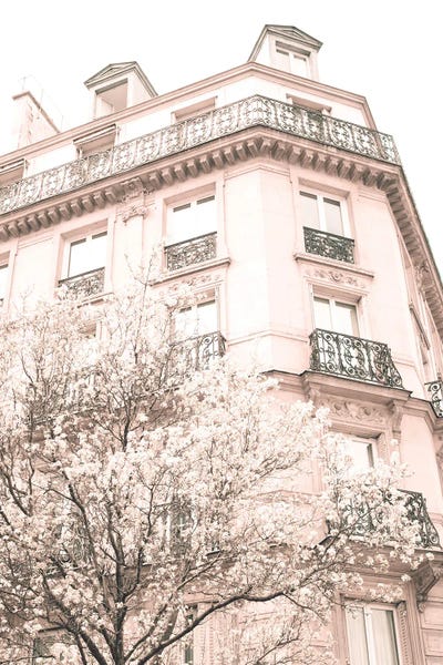 Caroline Mint: Paris In Blush Pink, Marais II by Caroline Mint