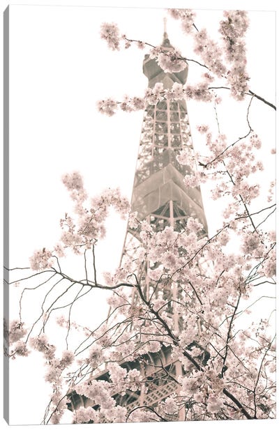 Eiffel Tower And Cherry Blossoms Canvas Art Print - Caroline Mint