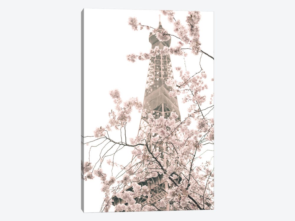 Eiffel Tower And Cherry Blossoms by Caroline Mint 1-piece Canvas Artwork