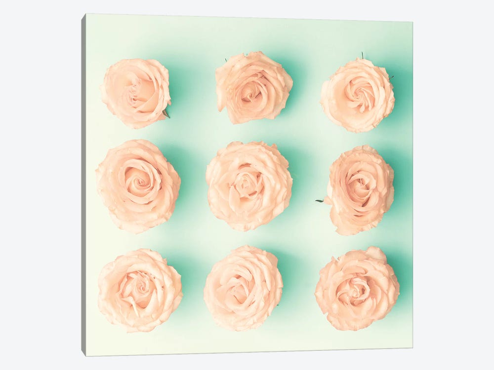 9 Roses by Caroline Mint 1-piece Canvas Artwork
