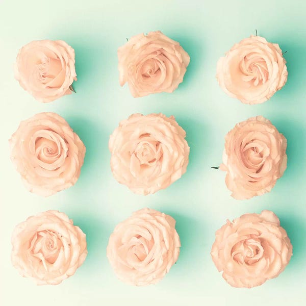 Caroline Mint: 9 Roses by Caroline Mint