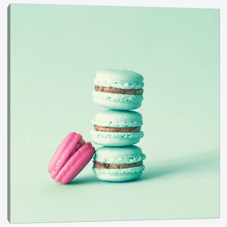 Delicious Macaroons Canvas Print #CMN39} by Caroline Mint Canvas Print