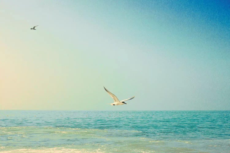 Freedom
