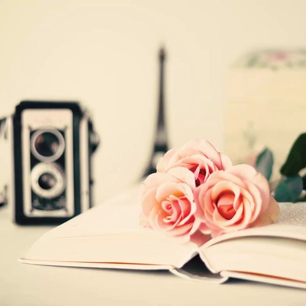 Photography As A Hobby: A Parisian Novel by Caroline Mint