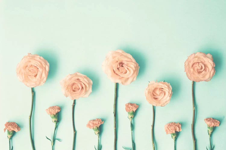 Growing Flowers