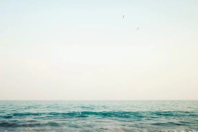 Jump by Caroline Mint framed canvas print