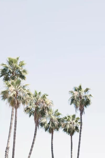 Caroline Mint: La Palms by Caroline Mint