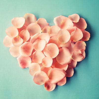 My Heart Is Here by Caroline Mint framed canvas print