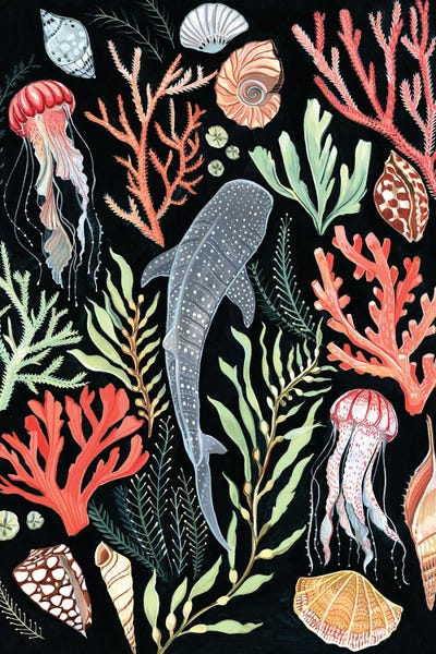 Jellyfish: Whale Shark by Clara McAllister