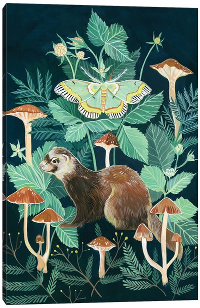 Ferret Moth Canvas Art Print - Ferrets