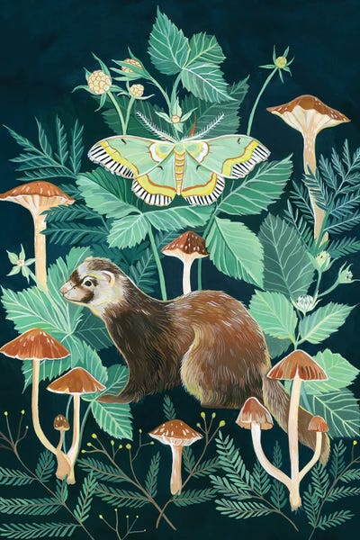 Ferrets: Ferret Moth by Clara McAllister