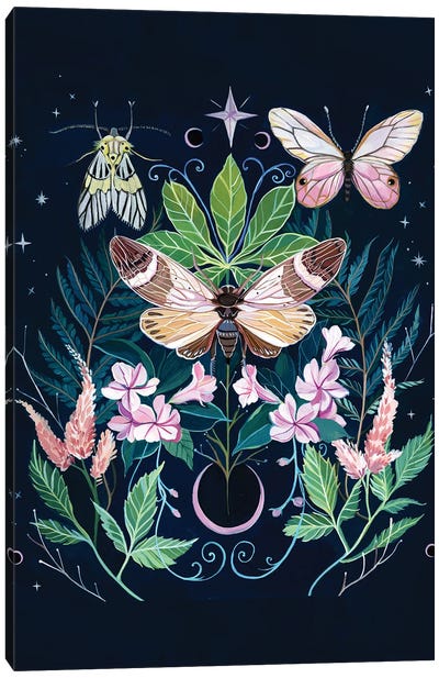 Cicada Moon Canvas Art Print - Mysticism