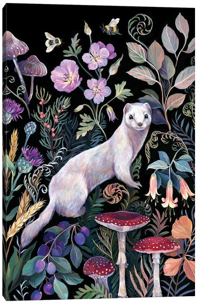 White Ermine Canvas Art Print - Ferrets