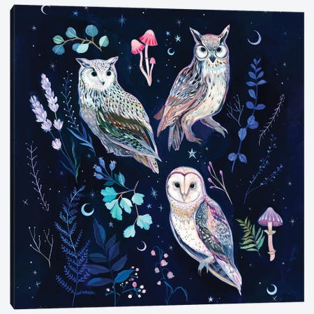 Night Owls Canvas Print #CMT21} by Clara McAllister Canvas Artwork