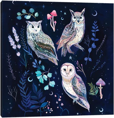 Night Owls Canvas Art Print - Clara McAllister