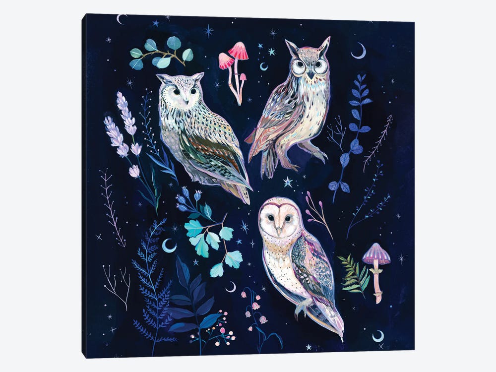Night Owls by Clara McAllister 1-piece Canvas Art Print