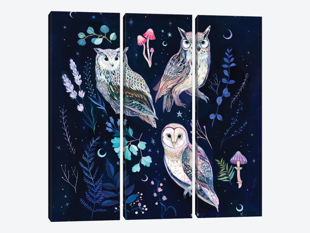 Night Owls by Clara McAllister 3-piece Art Print