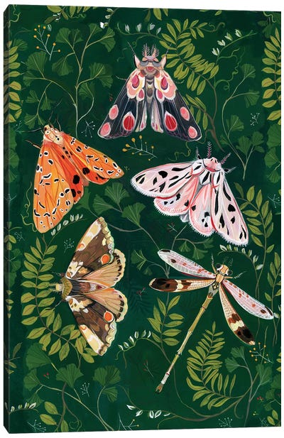 Moths Canvas Art Print - Clara McAllister