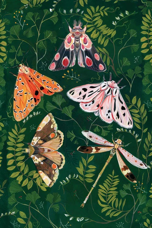 Moths by Clara McAllister wall art