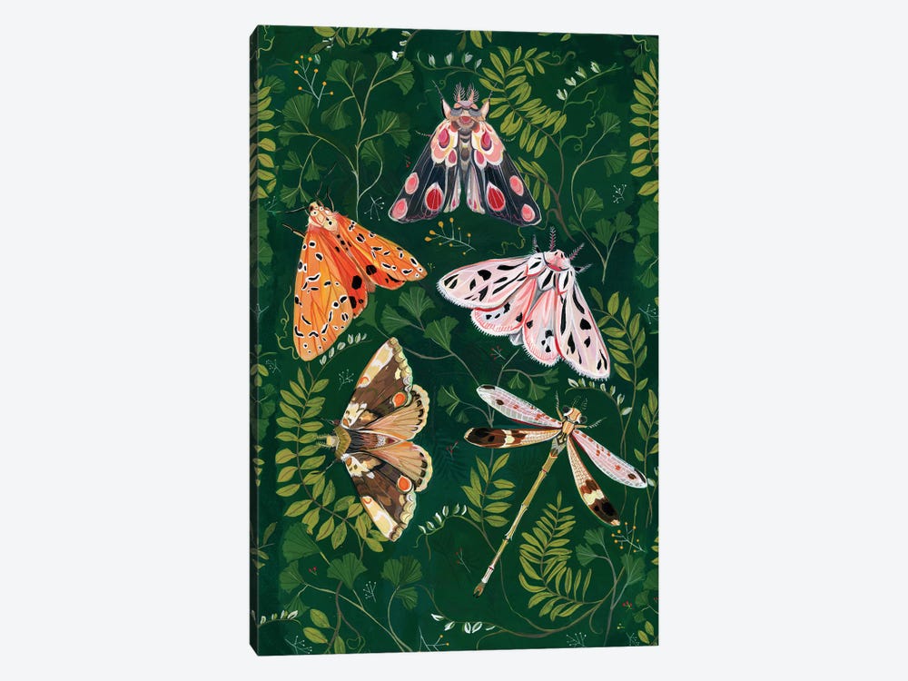 Moths by Clara McAllister 1-piece Canvas Print