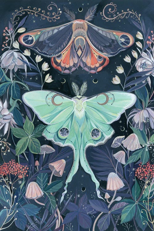 Luna Moths