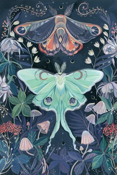 Clara McAllister