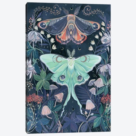Luna Moths Canvas Print #CMT24} by Clara McAllister Canvas Print