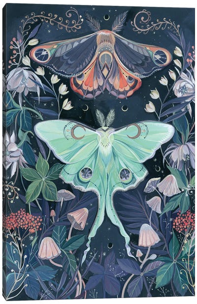 Luna Moths Canvas Art Print - Mushroom Art