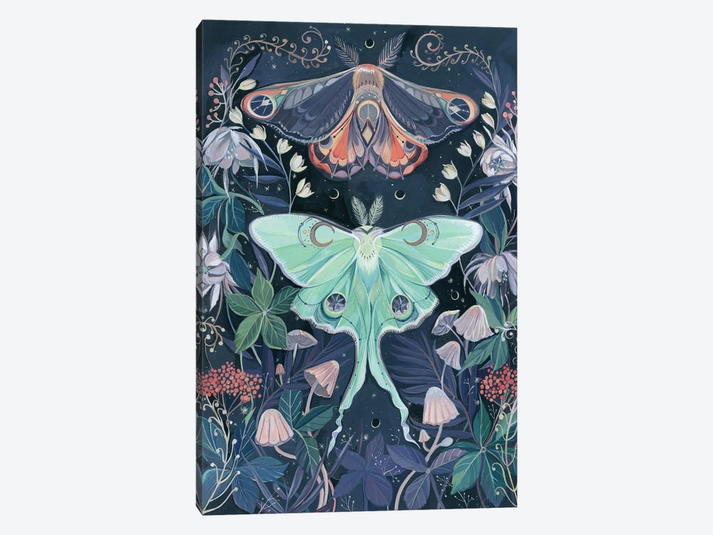Luna Moths by Clara McAllister 1-piece Canvas Wall Art