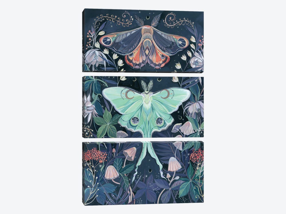 Luna Moths by Clara McAllister 3-piece Canvas Wall Art