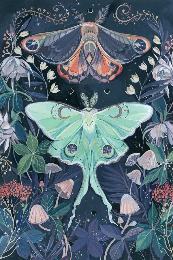 Clara McAllister
