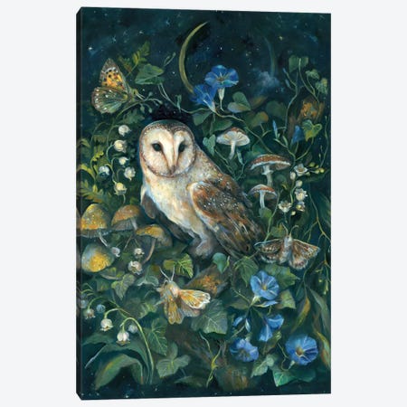 Barn Owl Canvas Print #CMT26} by Clara McAllister Canvas Print