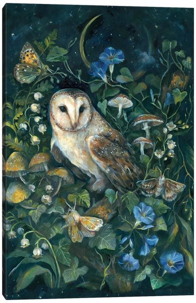 Barn Owl Canvas Art Print - Crescent Moon Art