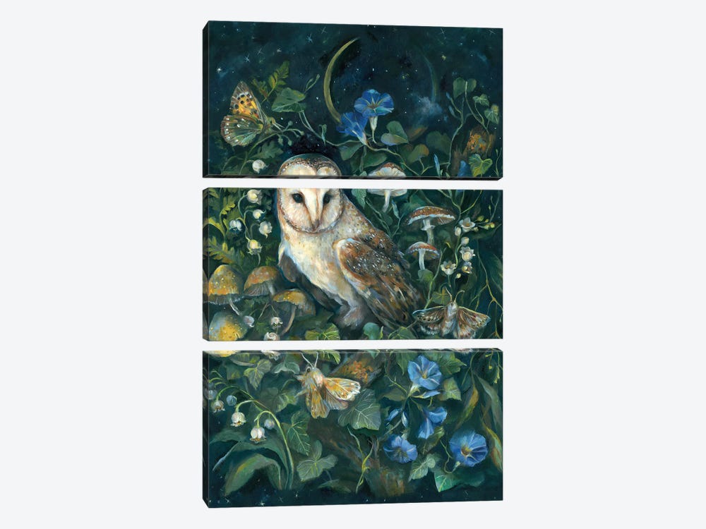 Barn Owl by Clara McAllister 3-piece Canvas Wall Art