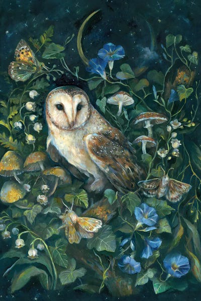 High School: Barn Owl by Clara McAllister