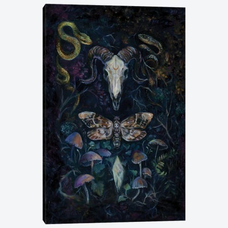 Death Moth Canvas Print #CMT28} by Clara McAllister Canvas Art
