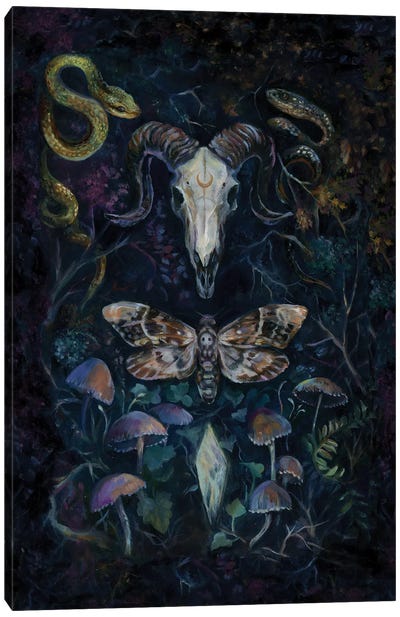 Death Moth Canvas Art Print - Mushroom Art