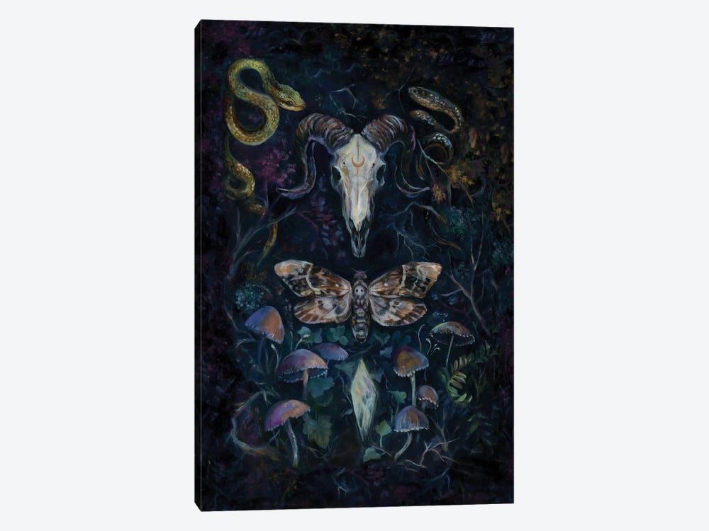 Death Moth by Clara McAllister 1-piece Canvas Art