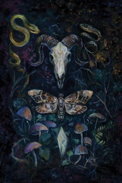 Rams: Death Moth by Clara McAllister